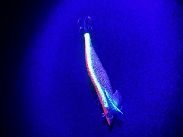 画像5: WILDCHASE/B-TR 3.5号30g 87worksオリカラ【特注品】 (5)