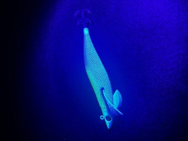 画像3: WILDCHASE/B-TR 3.5号30g 87worksオリカラ【特注品】 (3)