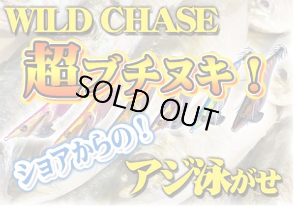 画像2: WILD CHASE 3.5号S #55〜#60　アジ泳がせシリーズ (2)