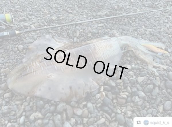 画像4: WILD CHASE 3.5号（20g）爆-SQUIDオリカラ＃BS01 ZONEオレンジ　３本セット (4)