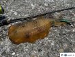 画像6: WILD CHASE 3.5号（20g）爆-SQUIDオリカラ＃BS03 ZONEカメレオン　3本セット (6)