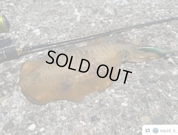 画像6: WILD CHASE 3.5号（20g）爆-SQUIDオリカラ＃BS03 ZONEカメレオン (6)