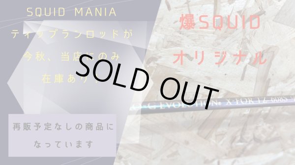 画像3: ZERO-G EVOLUTION  X-FOR TZ 608S B-TR tune (3)