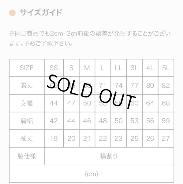 画像5: BAKU SQUIDオリジナルドライTシャツ  (gorira) (5)