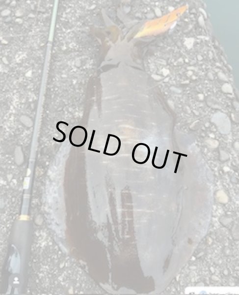 画像2: WILD CHASE 3.5号（20g）爆-SQUIDオリカラ＃BS01 、02、03　ZONE シリーズ　3色セット (2)