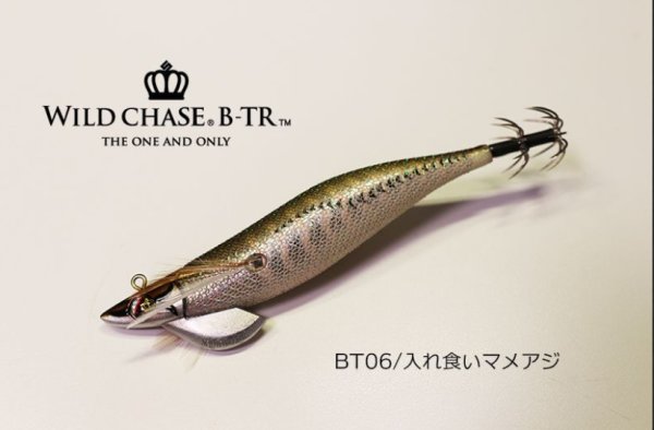 画像3: WILDCHASE/B-TR 3.5号30g  (3)