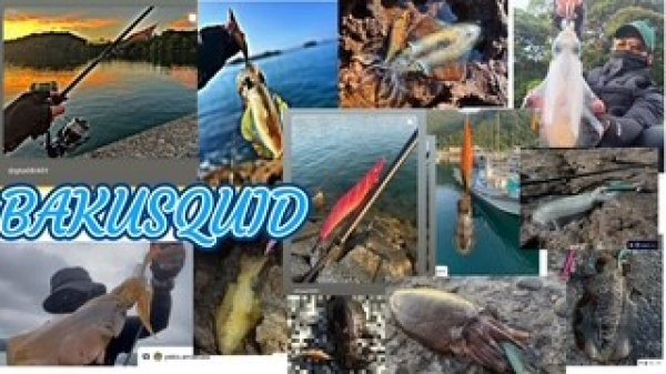 画像11: WILD CHASE 3.5号（20g）爆-SQUIDオリカラ＃BS01 ZONEオレンジ　３本セット (11)