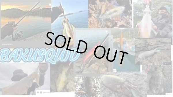 画像11: WILD CHASE 3.5号（20g）爆-SQUIDオリカラ＃BS01 ZONEオレンジ　３本セット (11)