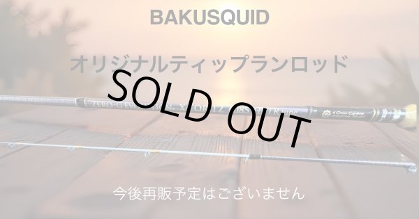 画像2: ZERO-G EVOLUTION  X-FOR TZ 608S B-TR tune (2)