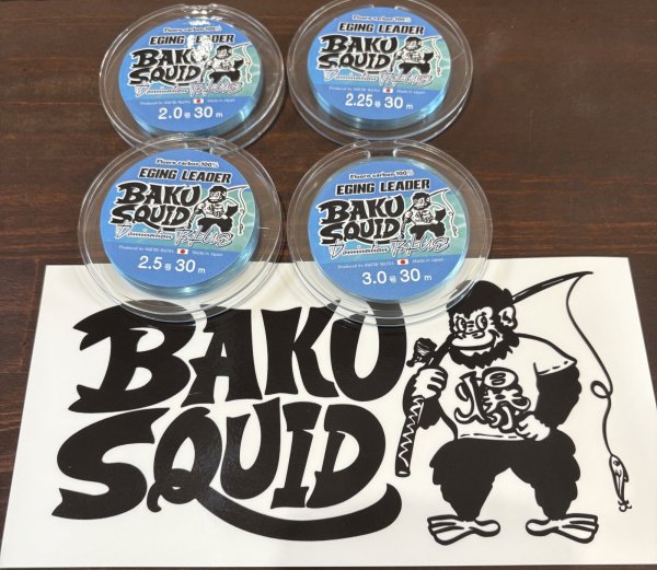 画像3: ショックリーダー(Domination Blue)爆-SQUIDオリカラ30m 2.0〜3.0 (3)